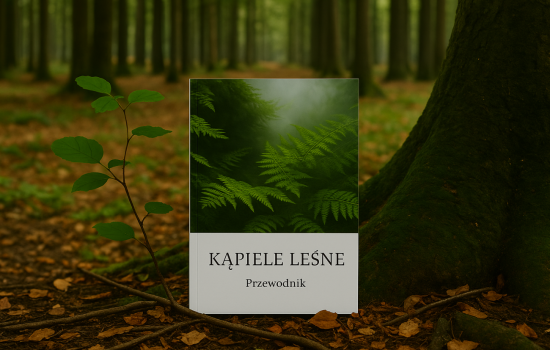 kapiele lesne kapiele lesne